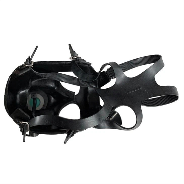 Standard Gas Mask With Filter